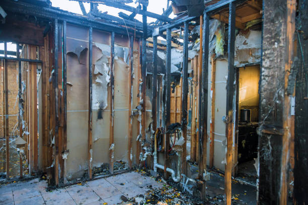 Professional Fire Damage Removal technician working in Farmville, VA